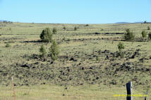 Burney Mima Mound Field