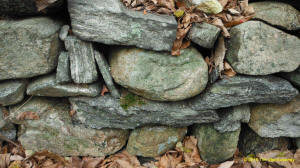 Tim MacSweeney Conneticut stone line photo