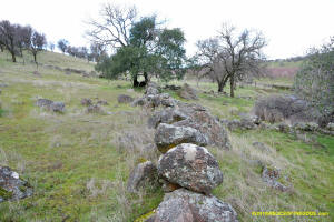 Schaeffer Ranch Stone Line